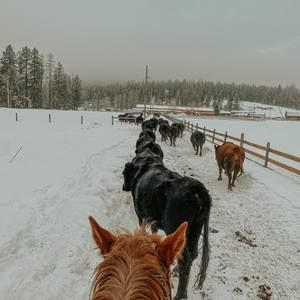 Meet your Posher, Deanna